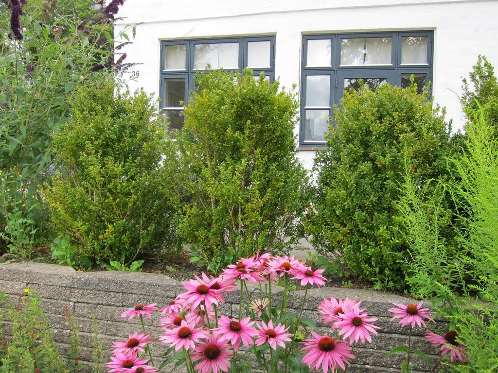 Provstegarden Bed & Breakfast Hovedgård Εξωτερικό φωτογραφία